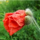 정원전설(주) 이미지