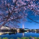 에이스성인게임랜드 이미지