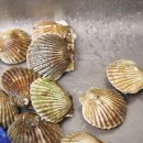 산소구이 이미지