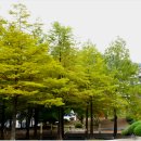 국립순천대학교 이미지