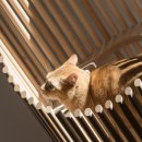 스타일리쉬(stylish) 이미지