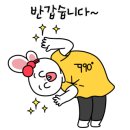 다담보쌈