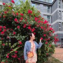 아이엘디스윙랩 | [파이어족 실행후기][2025결산/쇼핑,여행,재테크][for better life 2025 final ]