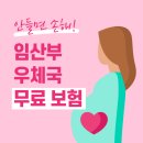 우체국 임산부 무료 보험 실제 가입 후기, 보험금 청구 방법 (우체국대한민국엄마보험)