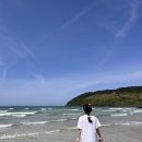 Ohelo | 5월 제주 동쪽 여행 #3 (민경이네 어등포식당, 런던베이글뮤지엄 제주, 보라지붕, 오헬로)