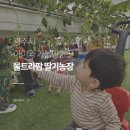 신만로 | 용인 근교 경기도 광주 내돈내산 울트라팜 딸기 체험 텐트자리