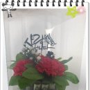 단양고등학교 이미지