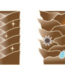 대세홈케어 이미지