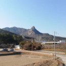 밤재농장 이미지