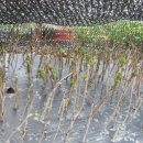 상진농장 이미지