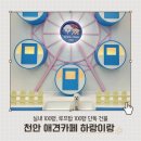 하랑유치원 | [천안 신상 애견카페] 신방동 하랑이랑 애견카페 내돈내산 방문후기