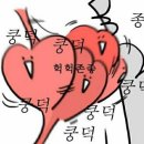 최수호 깜짝팬미팅 우리 지금 만나 후기(인형이 말도 잘하네요)