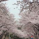 용바위농장 이미지