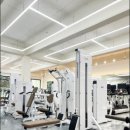 맥시멈짐 이미지