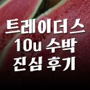배가왕서면(직영)점 | [트레이더스 리뷰] 10U 수박 솔직 후기 10kg 왕수박 수박소분 손질방법 가족추천