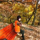 팔공산힐링 이미지