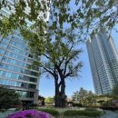 서빙고(근린공원) 이미지