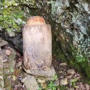 토종꿀, 문경 백두대간 토종꿀 판매 이미지