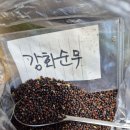 강화순무 이미지