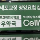 고바우약국 - 포항시 북구 흥해로 26 | 고바우약국