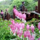 대아볼트