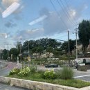 삼삼뼈국 성북동점 이미지