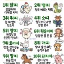 잔소리띠 순위 이미지