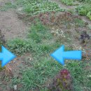 뽑기좋은날 이미지