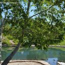 산책길에 이미지