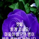 &#34;홍하사의 잡다한이야기&#34;---(1165) &#34;인생 이야기&#34;---(82) &#34;아버지! 옛날에 어떻게 사셨어요?&#34; &amp; &#34;장수 비결&#34; 이미지