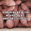 해남달콤한자연 | [특가]자연을담음 해남 황토 꿀고구마 베니하루카 3kg 후기 – 달콤한 겨울 간식 고구마 추천