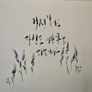하삼동커피칠곡학정점