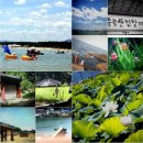 위정캠핑장 | [2기 라푸마 패밀리 캠프 후기]경북 영덕 위정약수캠핑장 ,영덕 고래불해수욕장,괴시리마을,죽도산전망대