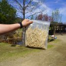 양평양떼목장 이미지