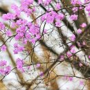 중대물빛공원 이미지