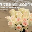 오소플라워