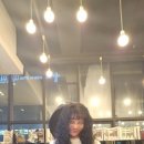월드헤어뉴스