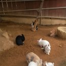 강동-길동-1275 이미지