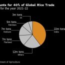 인도의 불안정한 쌀 생산량은 새로운 식량 위기를 일으킬 수 있습니다 이미지