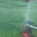 지리산대웅모텔 이미지