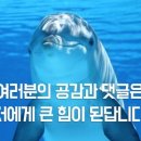 신의주찹쌀순대(효성점) 이미지