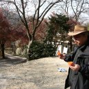 오뉴월개팔자 이미지