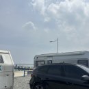 [당진] 장고항 군자호 배낚시 후기 (초심자의 행운 미쳤다!)