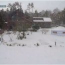 초심민박 이미지