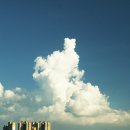 예쁜날 이미지