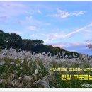 고운골남한강갈대숲 티스토리