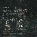 요보록소보록 네이버블로그
