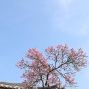 남방주유소 이미지