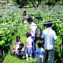 예밀농장 이미지