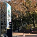 안경해라 이미지